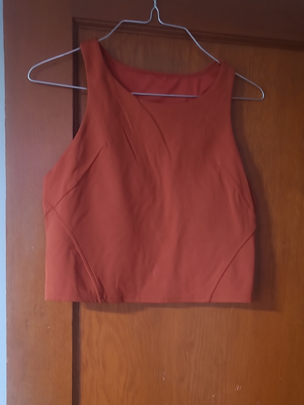 lululemon athletica Rust-Orange Sleeveless Crop Top